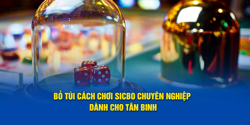 Bỏ Túi Cách Chơi Sicbo Chuyên Nghiệp Dành Cho Tân Binh